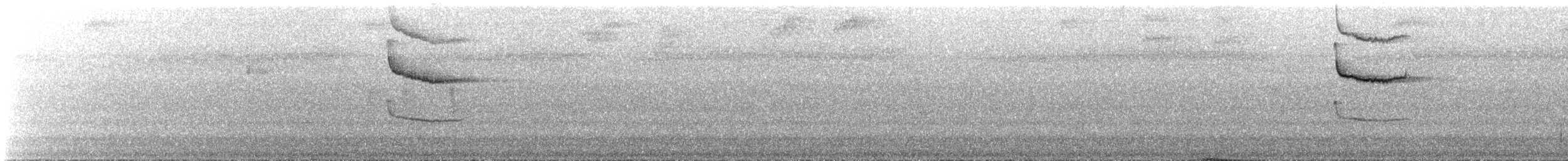 Perlkappen-Baumsteiger - ML641013103