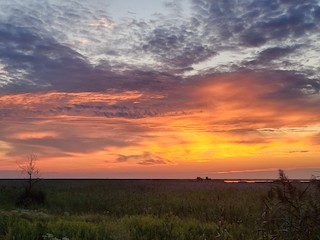 Edwin B. Forsythe NWR (formerly Brig), Atlantic, New Jersey