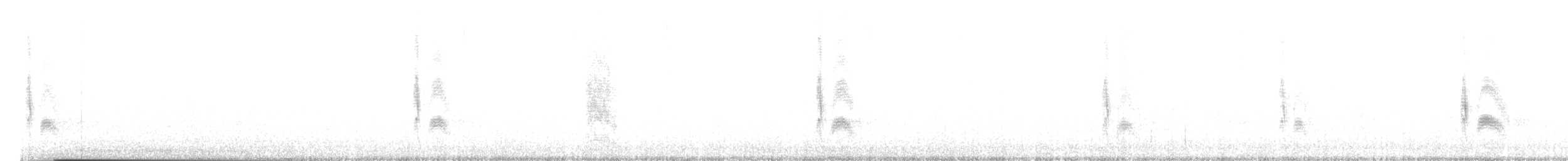 ハシボソタイランチョウ - ML641016896
