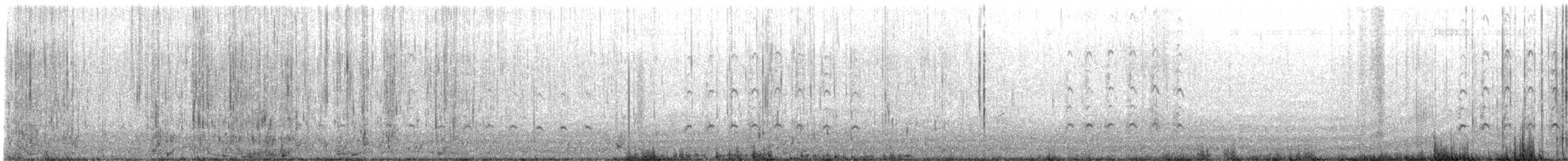 Hudsonian Whimbrel - ML641016983