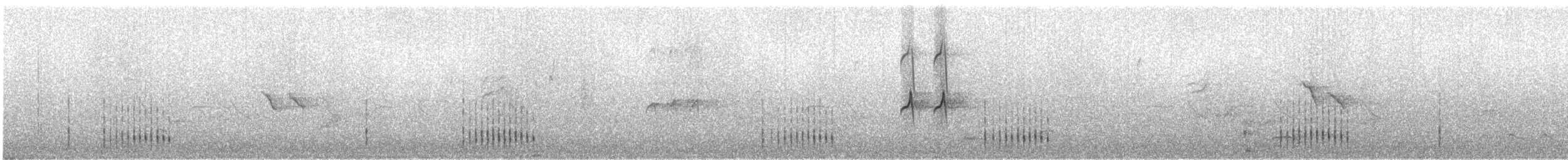 זמיר הירדן (מזרחי) - ML641017869