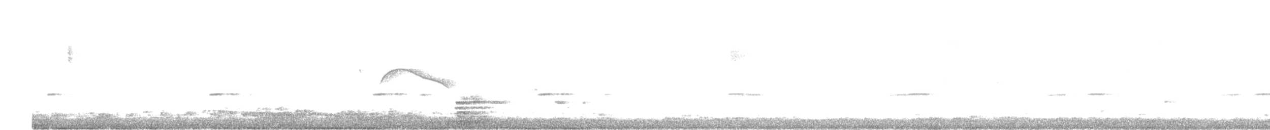 hvithalenattravn - ML641019293