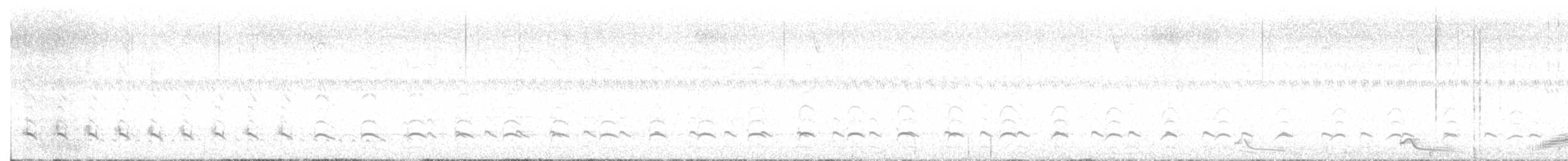 Oedicnème du Pérou - ML641020048