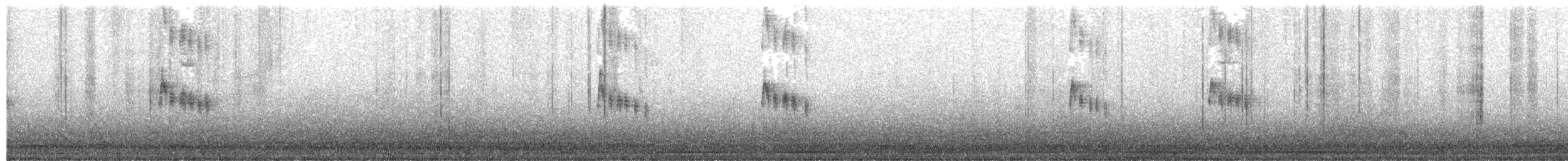 Tropical Kingbird - ML641021087