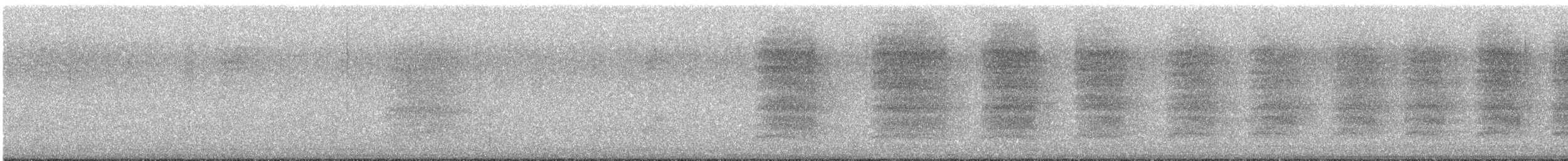 Steller's Jay - ML641021563