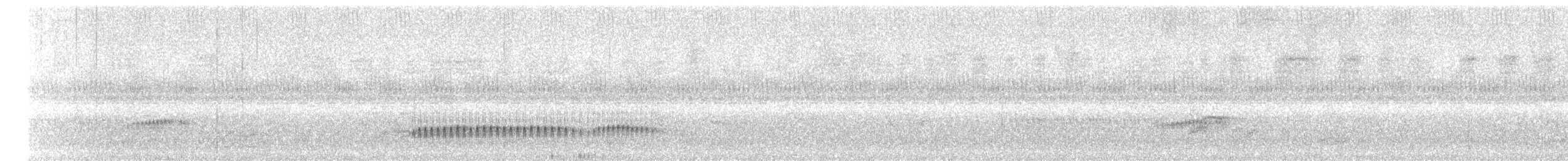 Yellow Tyrannulet - ML641024535