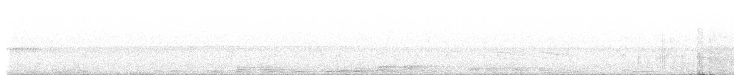 Barred Owl - ML641024625