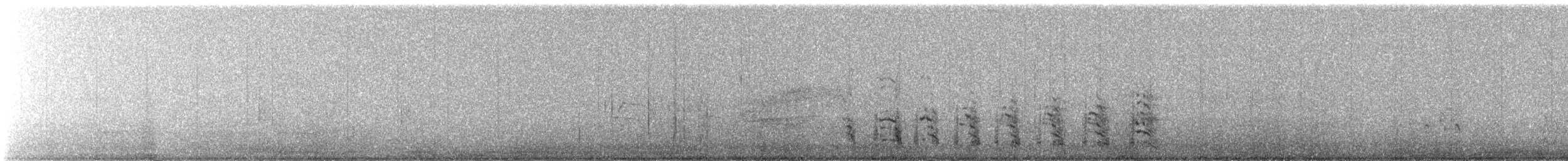 Kelp Gull - ML641025306