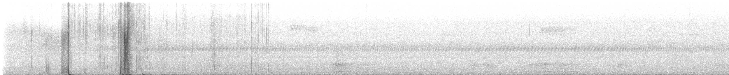 morčák chocholatý - ML641025868