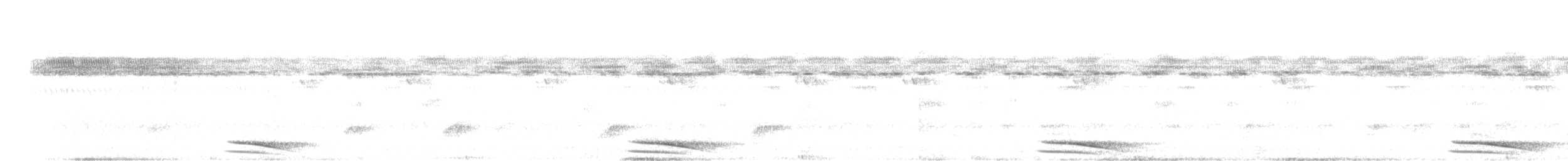 Collared Forest-Falcon - ML641026515