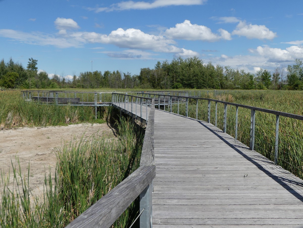 Not specified - Diane Thériault