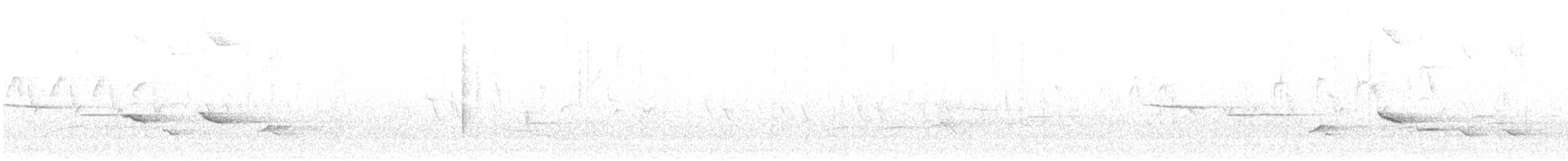 Baltimor Turpiyalı - ML641028403