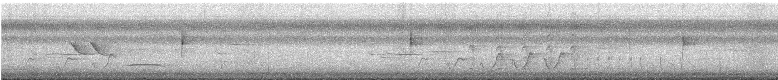 Northern Waterthrush - ML641030364