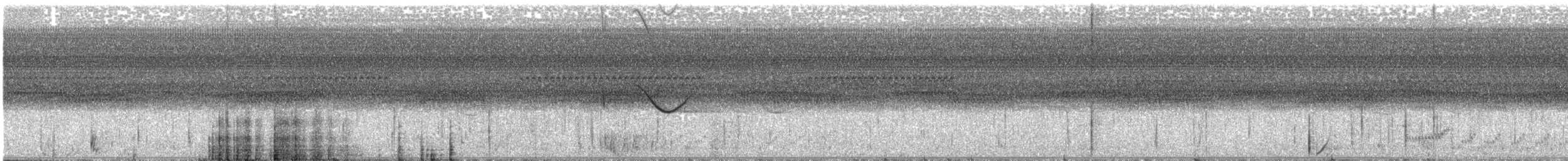 Spot-tailed Nightjar - ML641031731