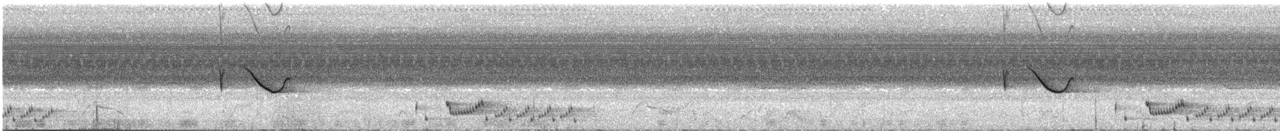 Spot-tailed Nightjar - ML641032273