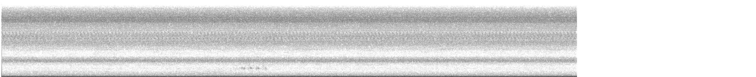 קוקיה שחורת-מקור - ML641035142