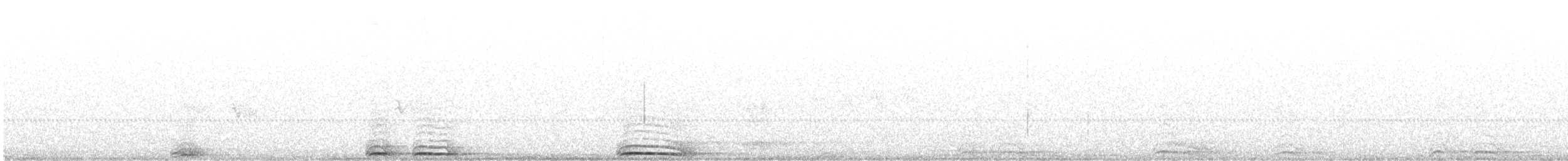Spotted Owl - ML641035747