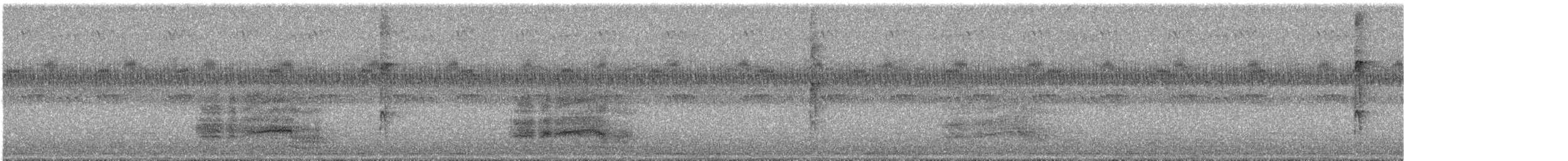 Sterne caspienne - ML641035910