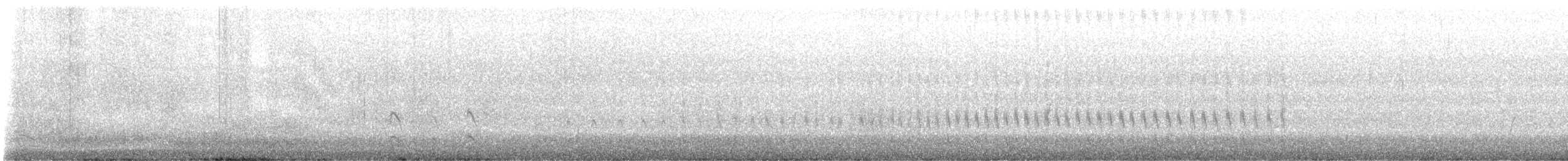 キョウジョシギ - ML641038935