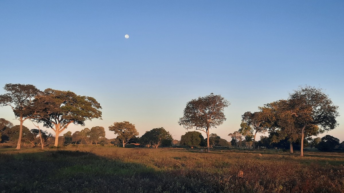 Not specified - Dirk Tomsa