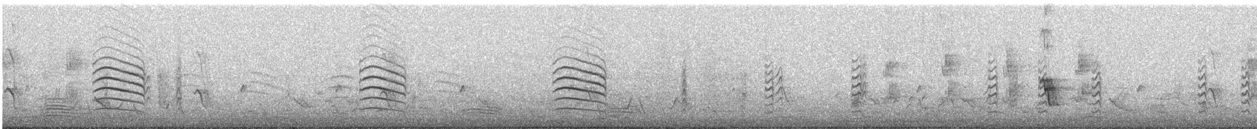 カノコスズメ - ML641043635