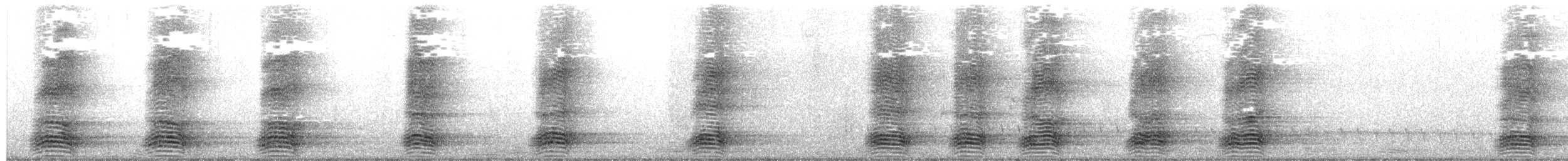 Torresian Crow - ML641049100