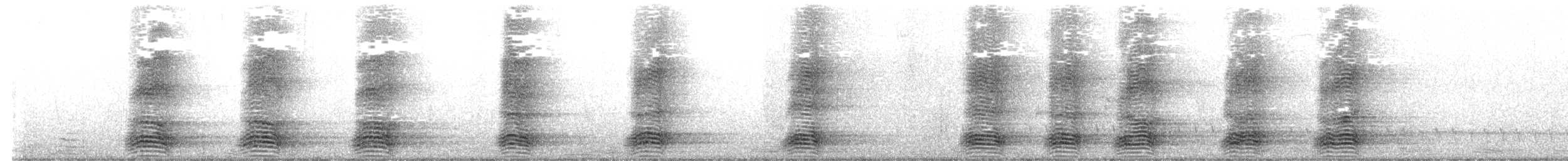 Torresian Crow - ML641049181