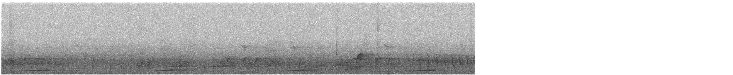 Tórtola Cuco Parda - ML641049637