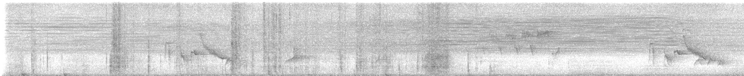 Black-and-white Warbler - ML641056635