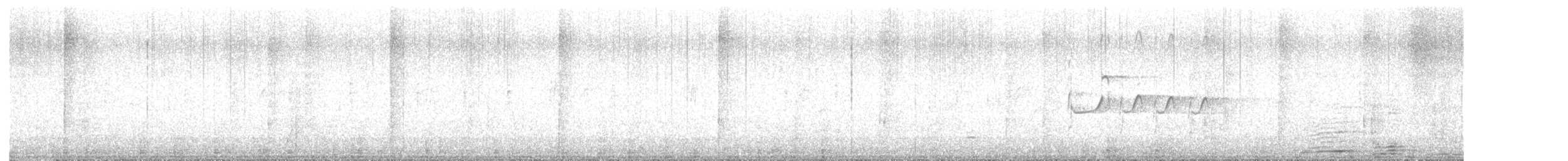 Цагаан сүүлт хөгчүү - ML641056979
