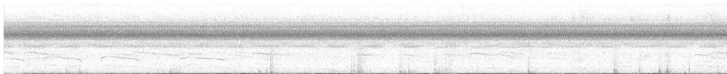 Red-shouldered Hawk - ML641057190