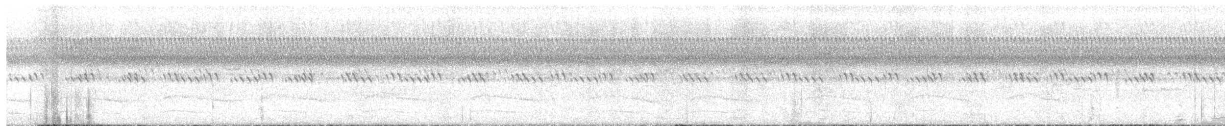 Red-shouldered Hawk - ML641057191