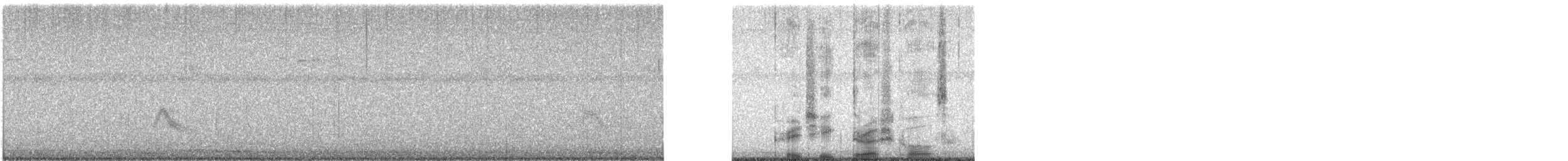 Gray-cheeked Thrush - ML641058326