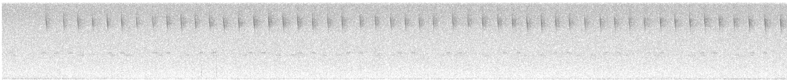 Berylline Hummingbird - ML641059430