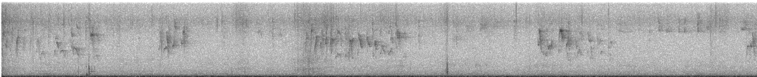 Pacific Wren - ML641060087