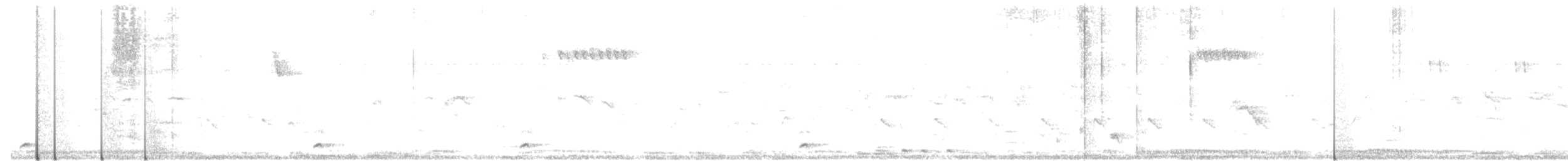 Coppersmith Barbet - ML641061026