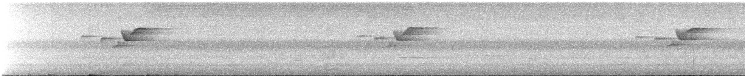 ムジミソサザイ - ML641062739