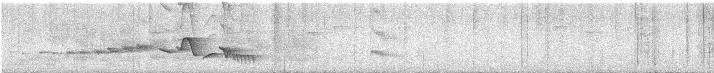Speckle-breasted Wren - ML641064344