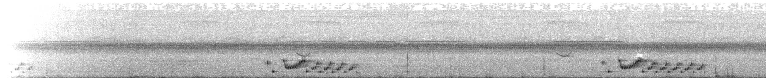 Дрімлюга малий - ML641067203