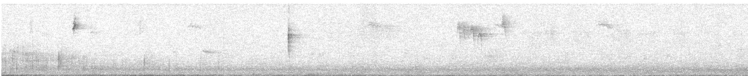 Paruline grise - ML641067781