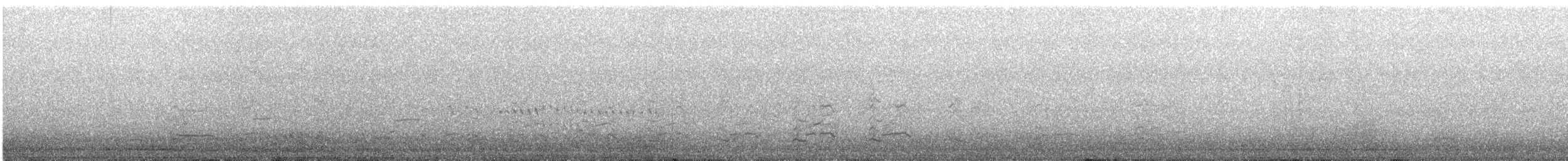 Ring-billed Gull - ML641070833