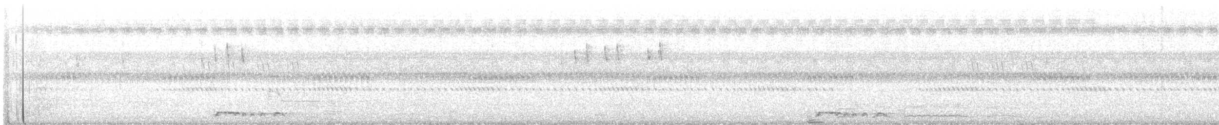 Zebra Dove - ML641072248