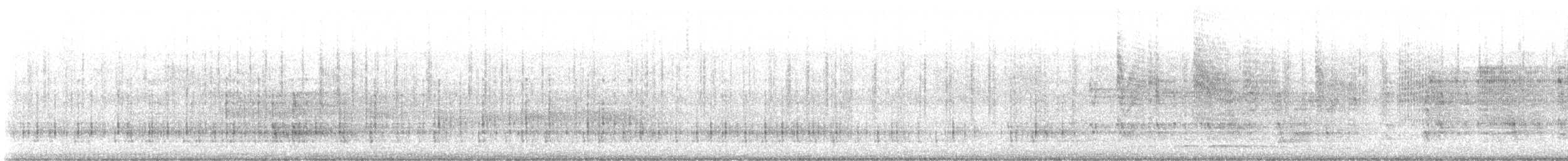 Salangane à nid blanc (germani/amechanus) - ML641076515