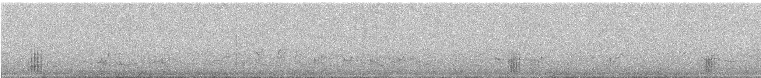 Cape Bulbul - ML641076647