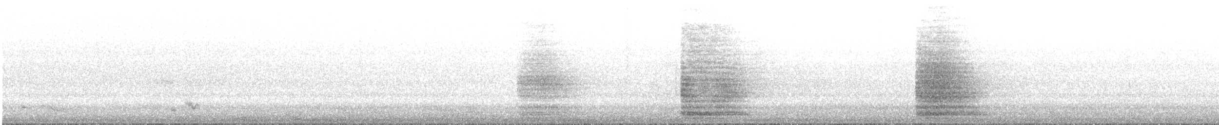 Egyptian Goose - ML641078852