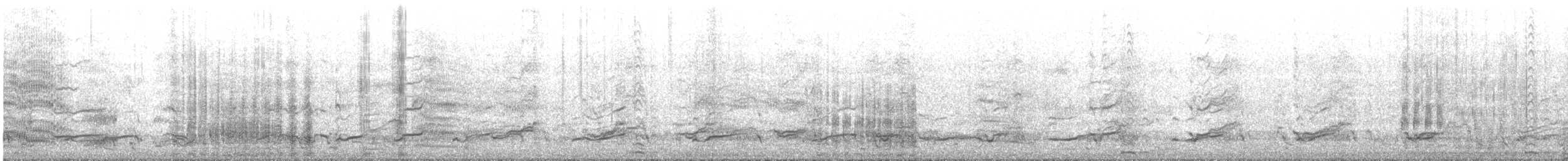 Cormorano - ML641079302