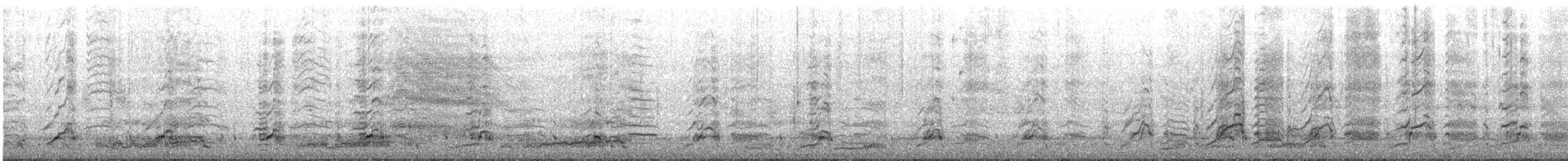 Cormorano - ML641079719