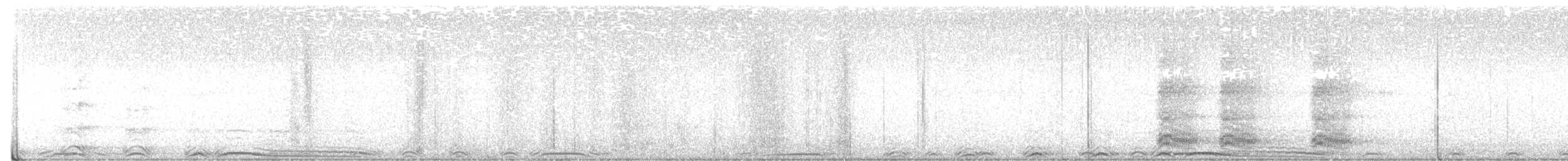 Barred Owl - ML641085450