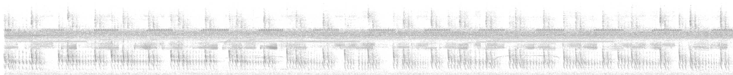 Plain Softtail - ML641085534