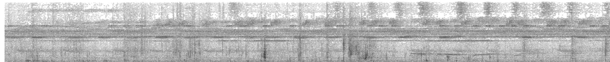 ニセメンフクロウ - ML641086581